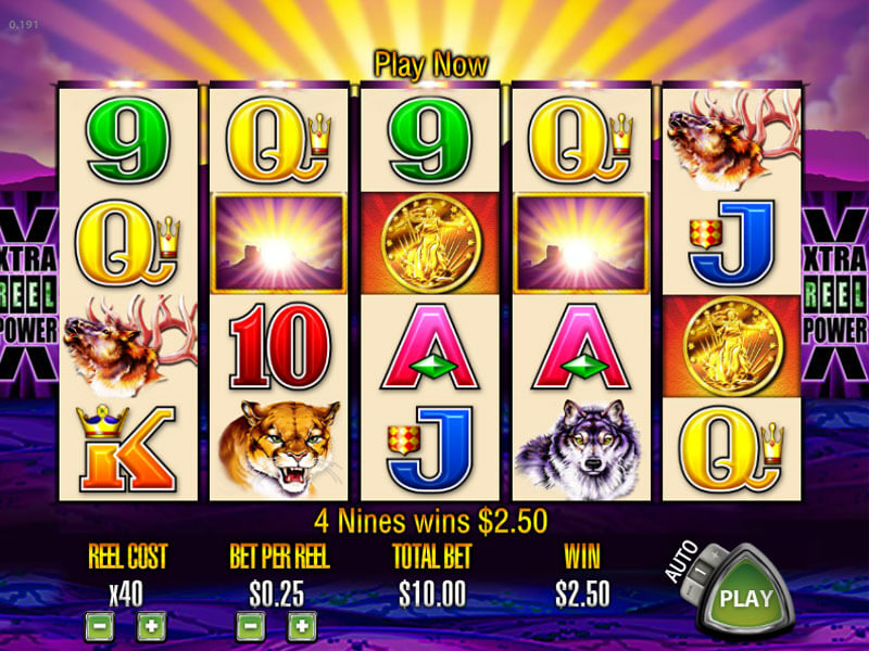 Dolphin Slot Machine Big Win Basketball Download - The 191 Online